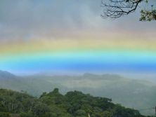 cloud forest rainbow.jpg